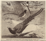 Image ID 820976