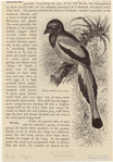 Image ID 820977