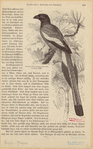 Image ID 820978