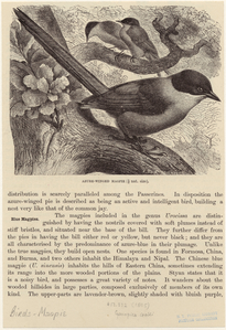 Image ID 820981