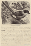 Image ID 820981