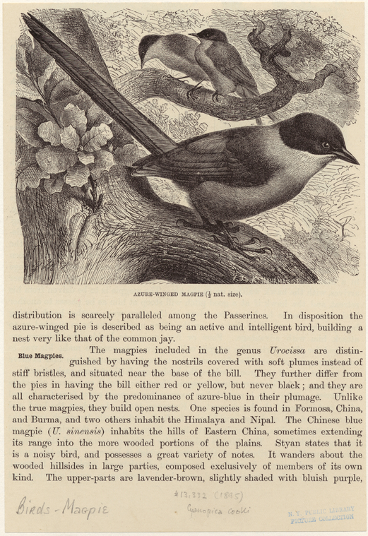 Image ID 820981
