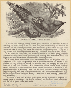Image ID 820982