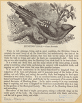 Image ID 820982