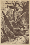 Image ID 820983