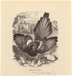 Image ID 820984