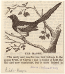Image ID 820985