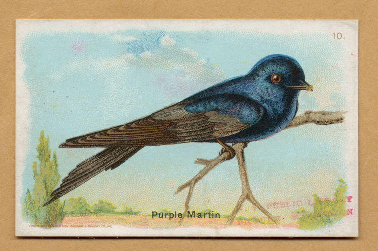 Image ID 820986
