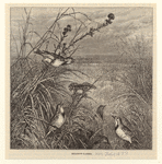 Image ID 820989