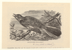 Image ID 820990