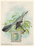Image ID 820991