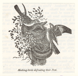 Image ID 820992