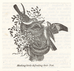 Image ID 820992