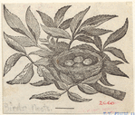 Image ID 820993