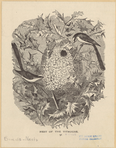 Image ID 820994