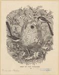 Image ID 820994