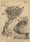 Image ID 820995