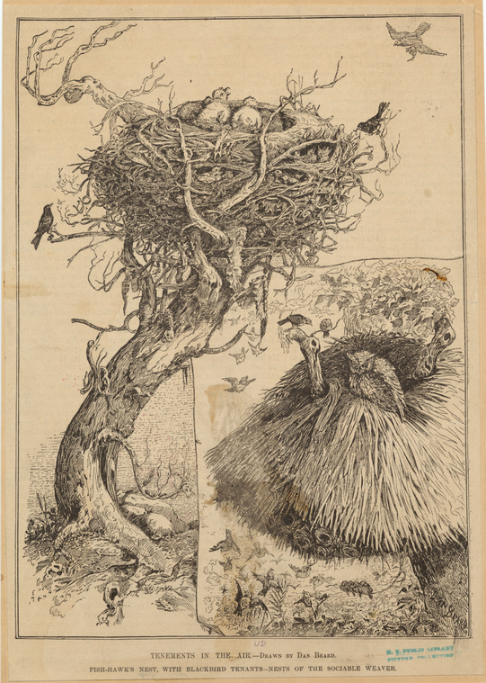 Image ID 820995
