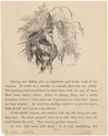 Image ID 820996