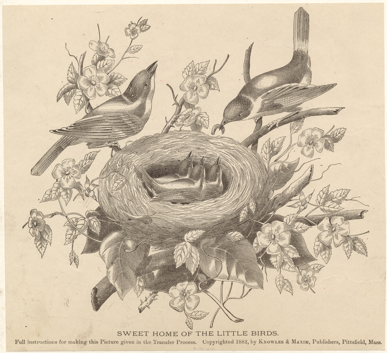 Image ID 820997

