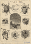 Image ID 821000