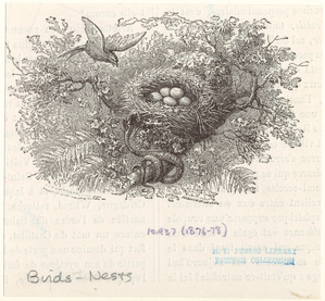 Image ID 821002