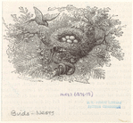 Image ID 821002