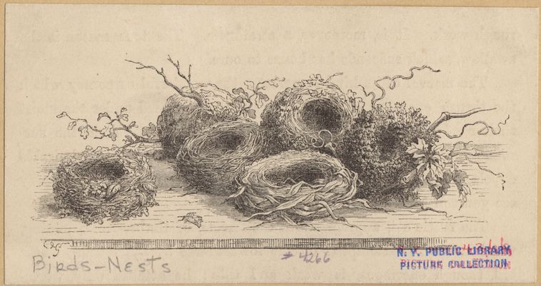 Image ID 821003
