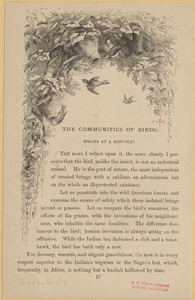 Image ID 821007