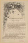 Image ID 821007