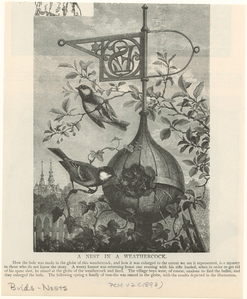 Image ID 821008