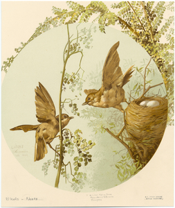 Image ID 821009