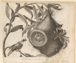 Image ID 821010