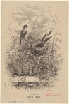 Image ID 821011
