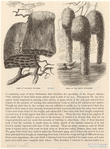Image ID 821013