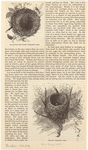 Image ID 821014