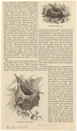 Image ID 821015