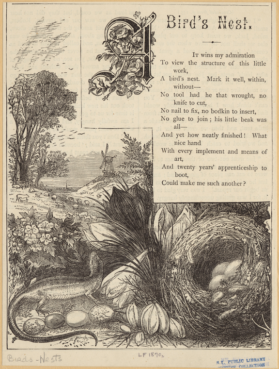 Image ID 821018
