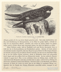 Image ID 821020