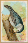 Image ID 821023