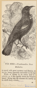 Image ID 821024
