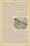 Image ID 821026