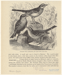 Image ID 821028