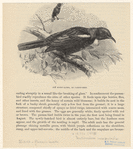 Image ID 821030
