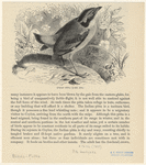 Image ID 821032