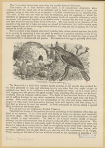 Image ID 821033