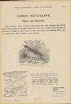 Image ID 821034