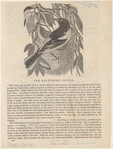 Image ID 821038