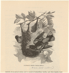 Image ID 821044