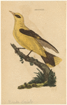 Image ID 821045